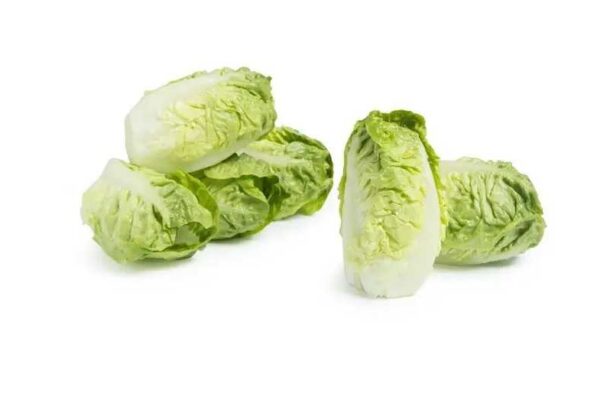 corazones de lechuga verdes