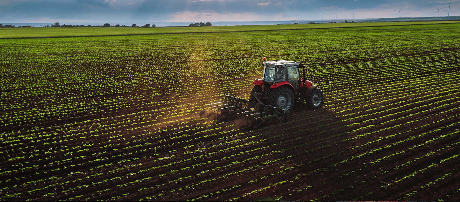 Agricultura: El arma contra el cambio climático