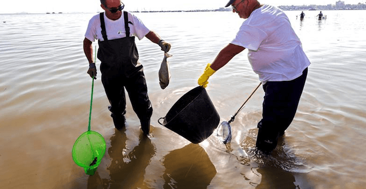 El Instituto Oceanográfico confirma que la DANA provocó la muerte de peces en el Mar Menor