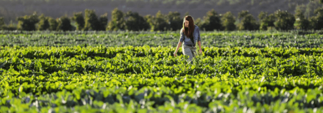 Jornada: “La Agricultura para luchar contra el cambio climático”