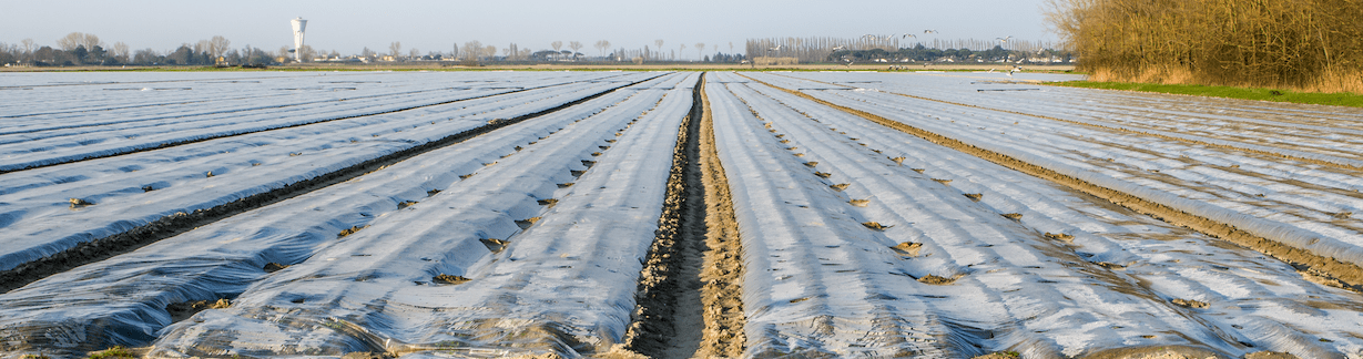 Reducción de plásticos agrícolas