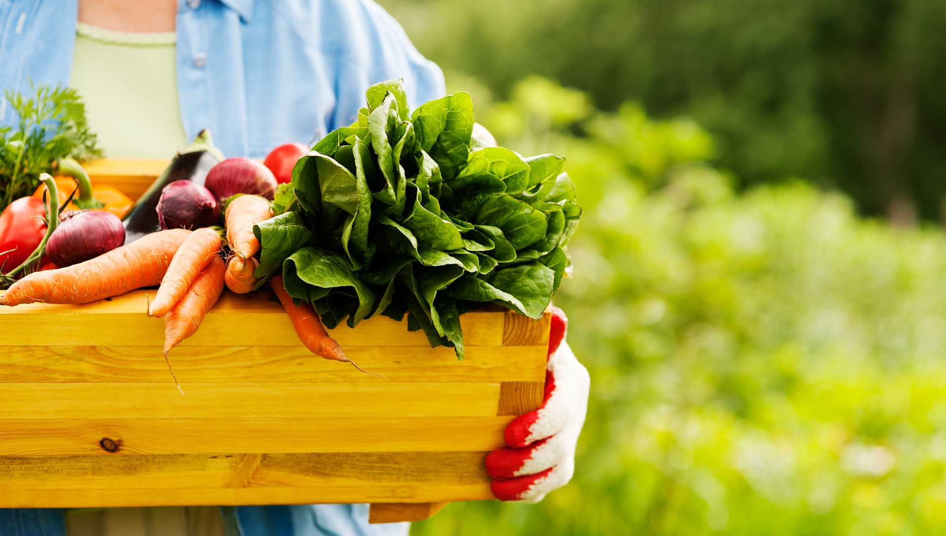 “Trabajamos sin descanso para garantizar el suministro de alimentos”