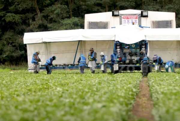 trabajadores del campo de Cartagena