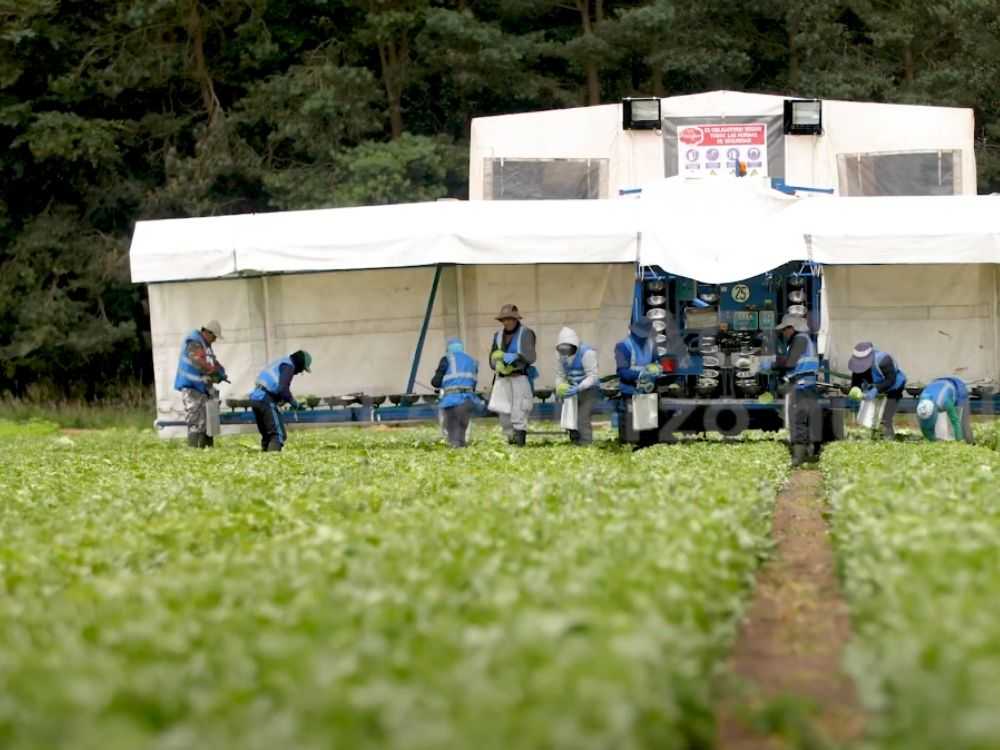 trabajadores del campo de Cartagena