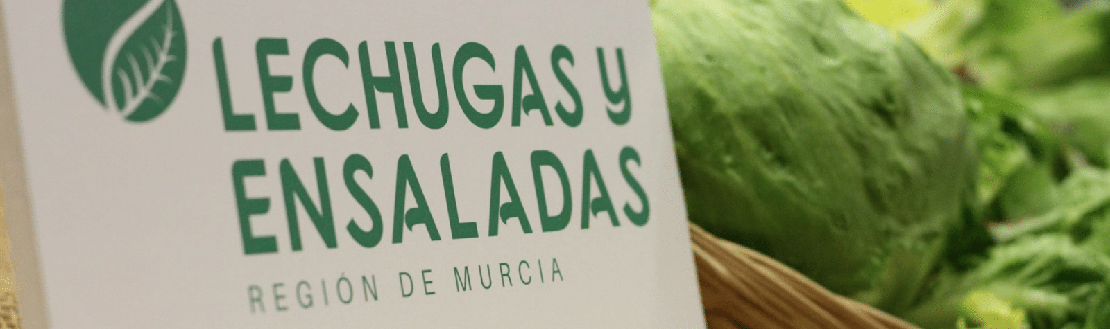 ‘Lechugas y Ensaladas de la Región de Murcia’ promueve el consumo de hortalizas de hoja