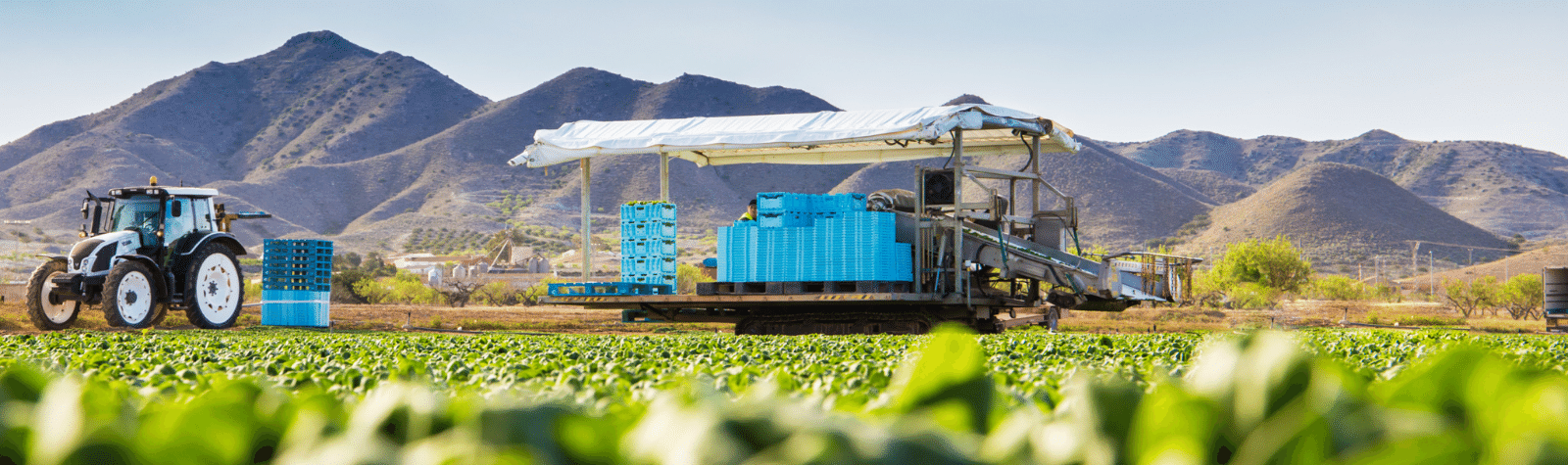 Un mundo de ensaladas de la Región de Murcia