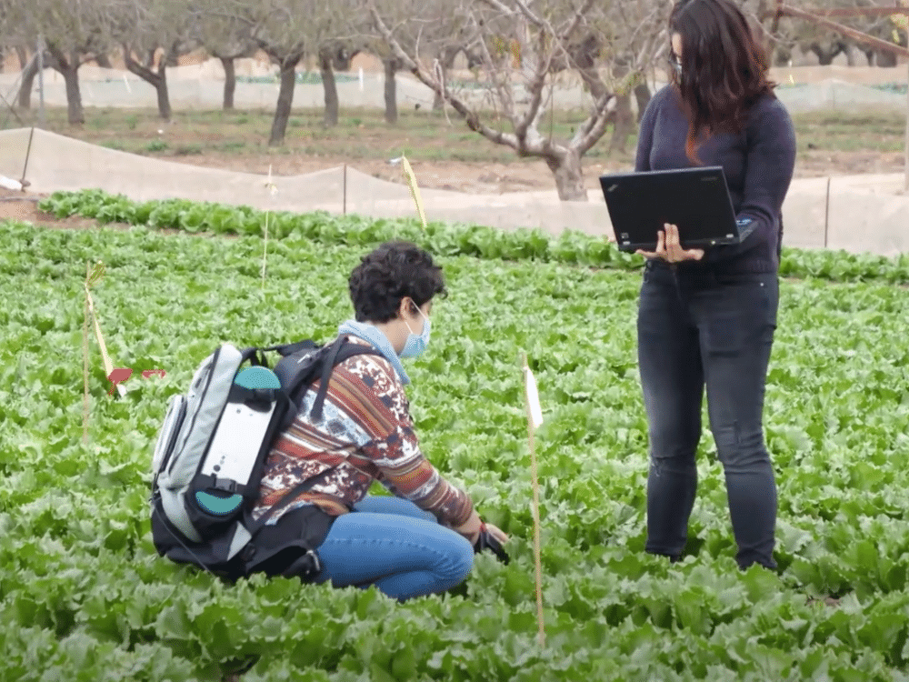 nuevas técnicas de fertirrigación