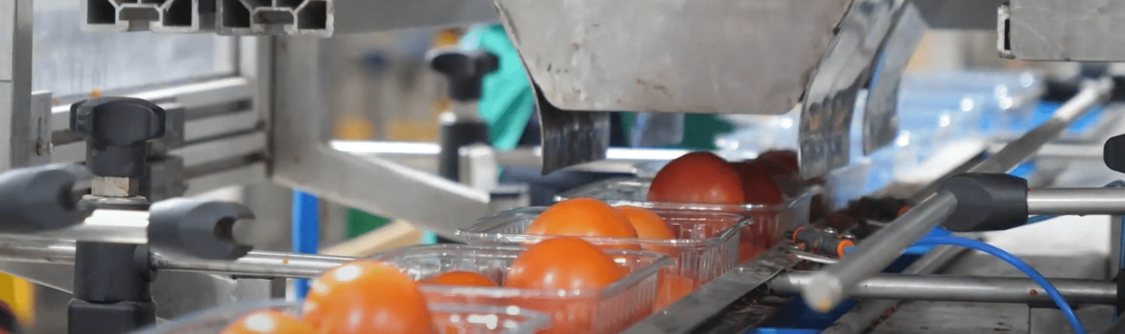 Innovación: Robots en centros de manipulado y envasado hortofrutícolas