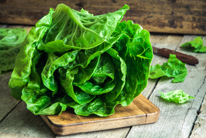 ¿Por qué es bueno comer lechuga para nuestro organismo?