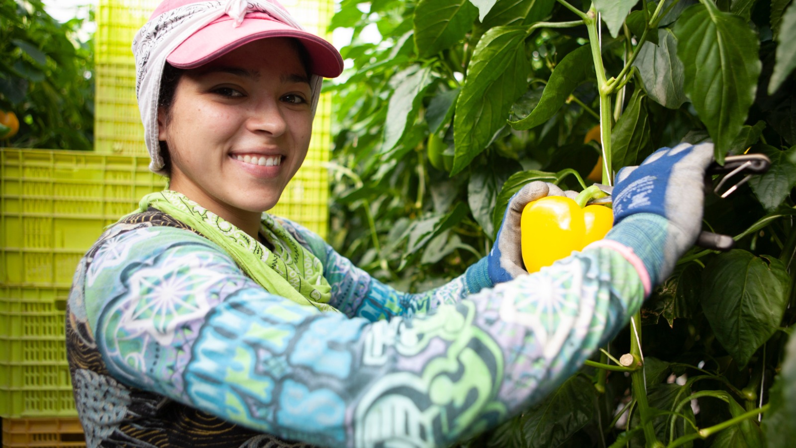 Proexport celebra el papel de la mujer en el agro