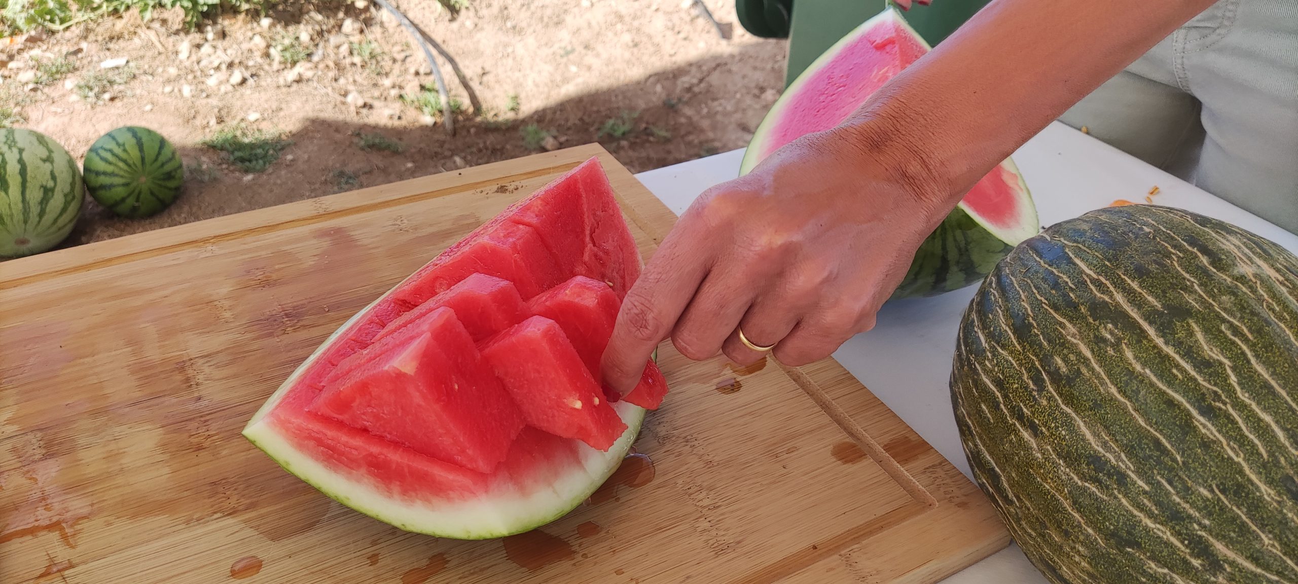 Los productores españoles de melón y sandía celebran la recuperación de la normalidad