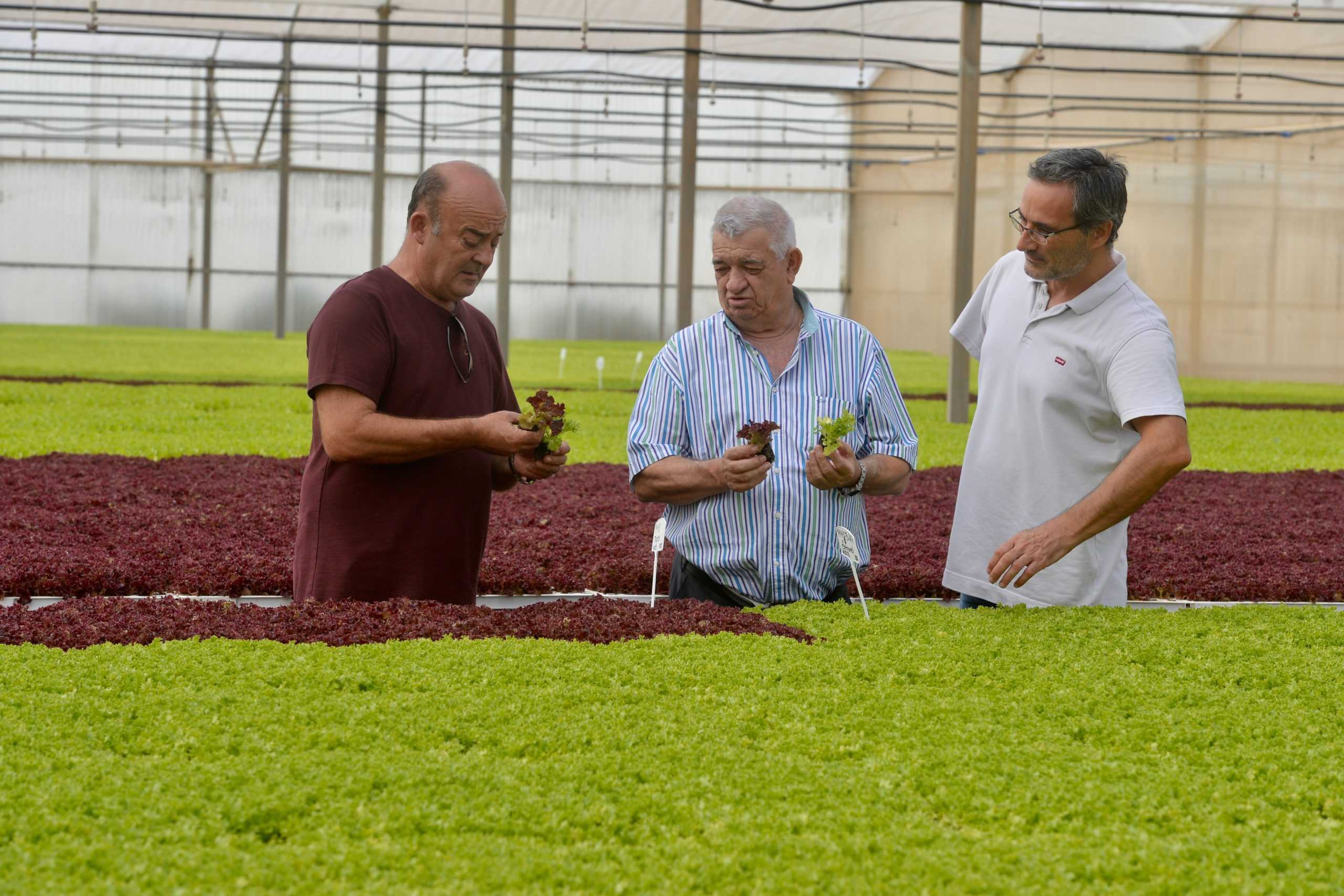 “En la agricultura regional todos intentamos mejorar las cosas”