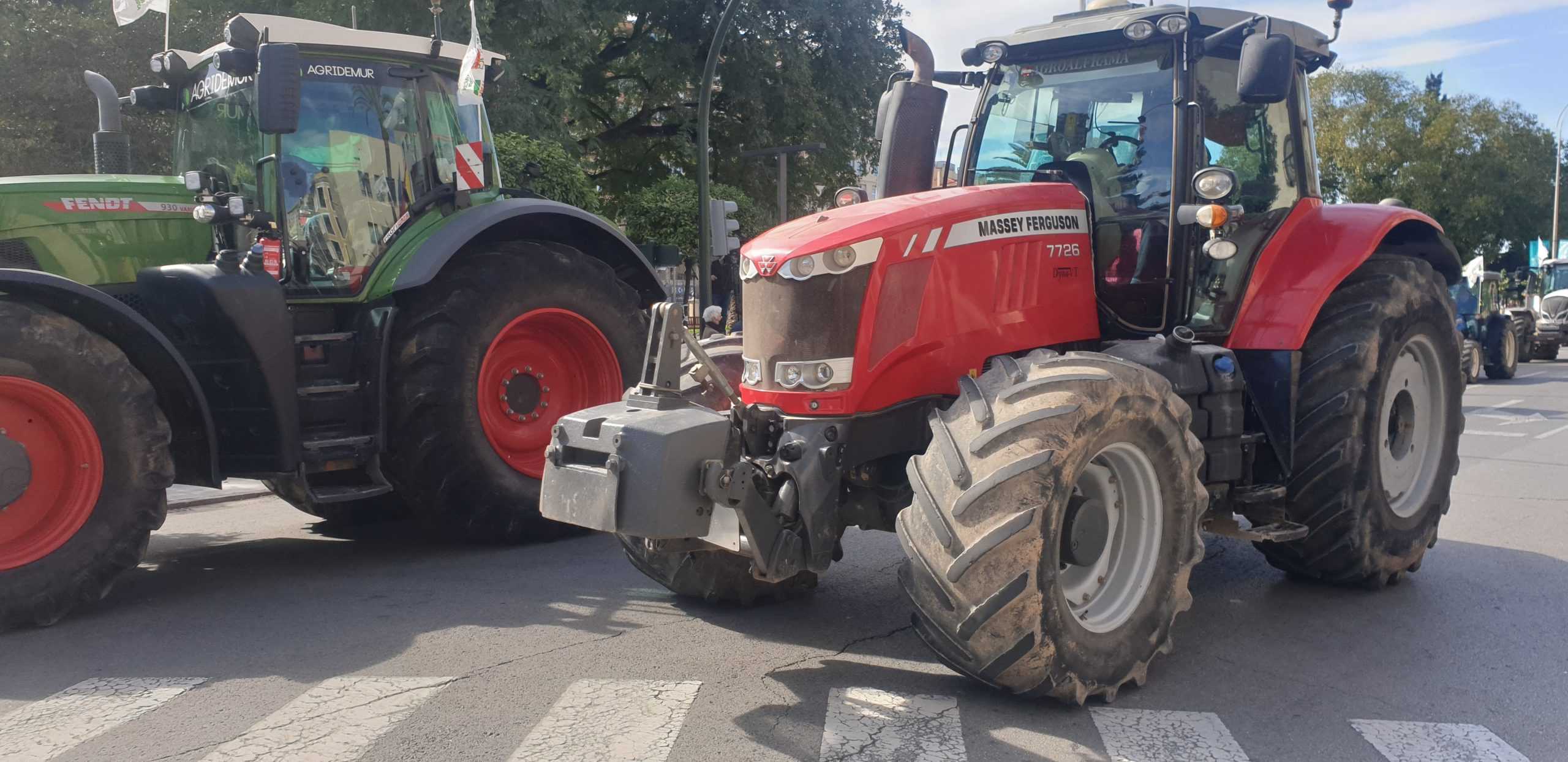 Proexport condena los incidentes ocurridos ayer en las protestas agrícolas ante la Asamblea Regional