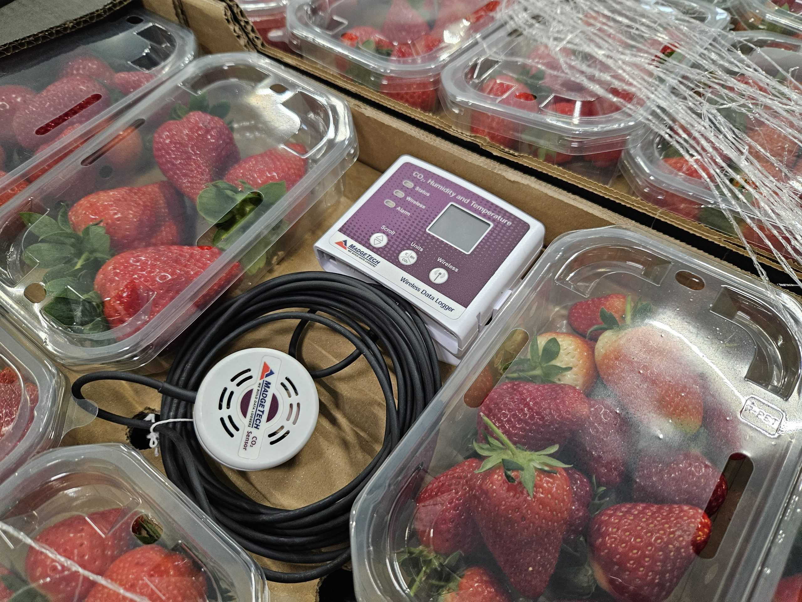 ‘BulkBox’, el envase que persigue alargar la conservación de las frutas y hortalizas