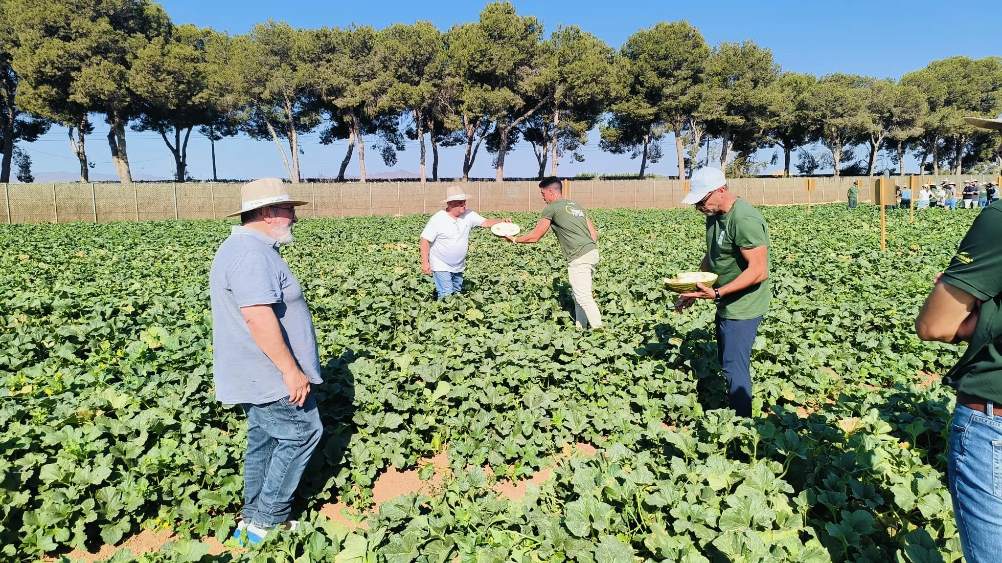 Los productores regionales reciben a supermercados y procesadores de todo el mundo interesados en sus innovaciones en melón y la sandía