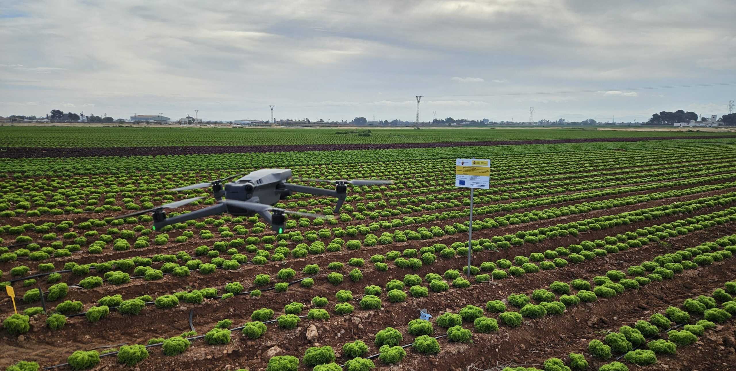 NITROSFERA culmina tres años de innovación para una fertilización hortícola más sostenible en Murcia
